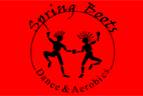 Spring Boots Academy Of Dance And Aerobics, Besant nagar
